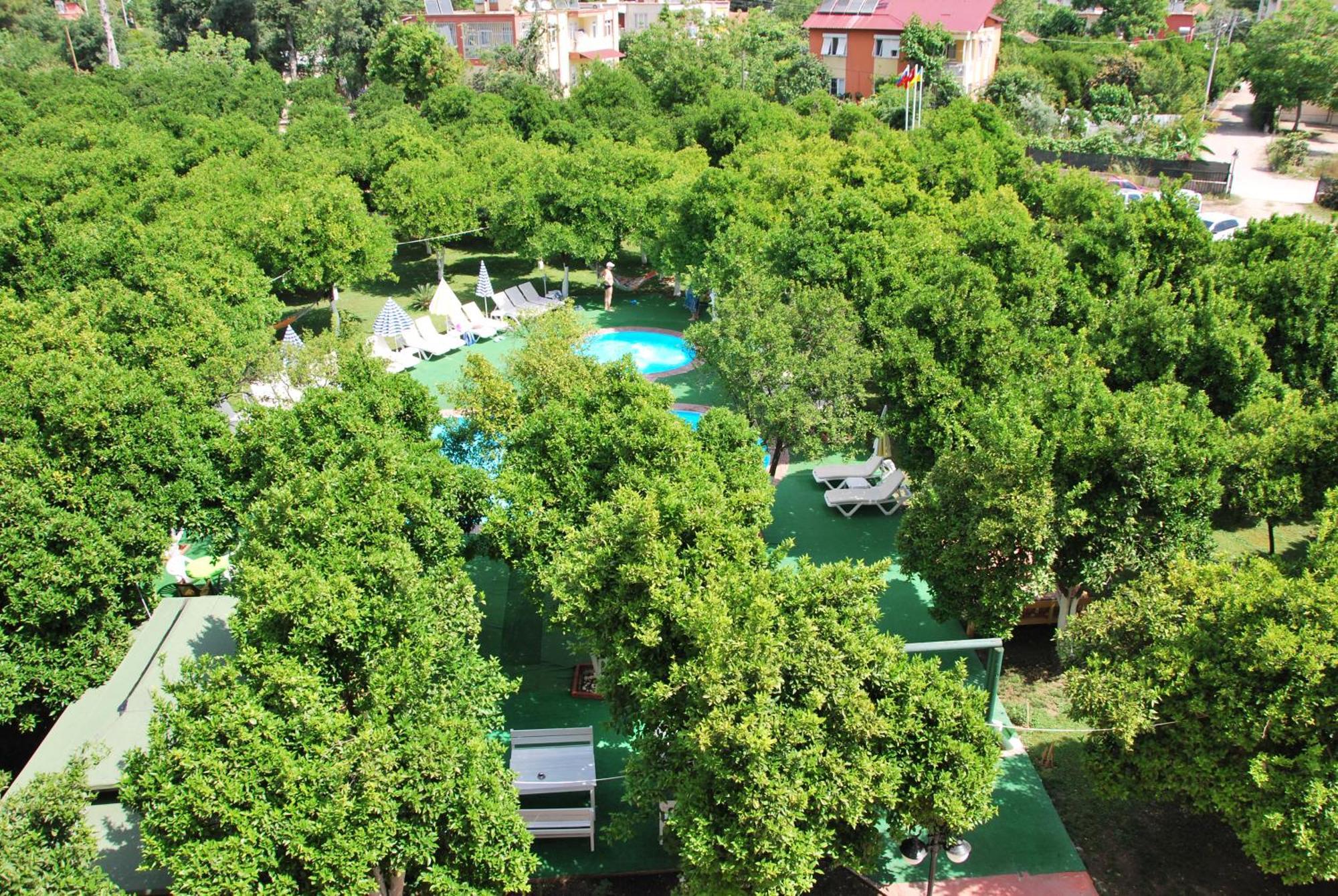 Castle Park Hotel เบลดิบี ภายนอก รูปภาพ